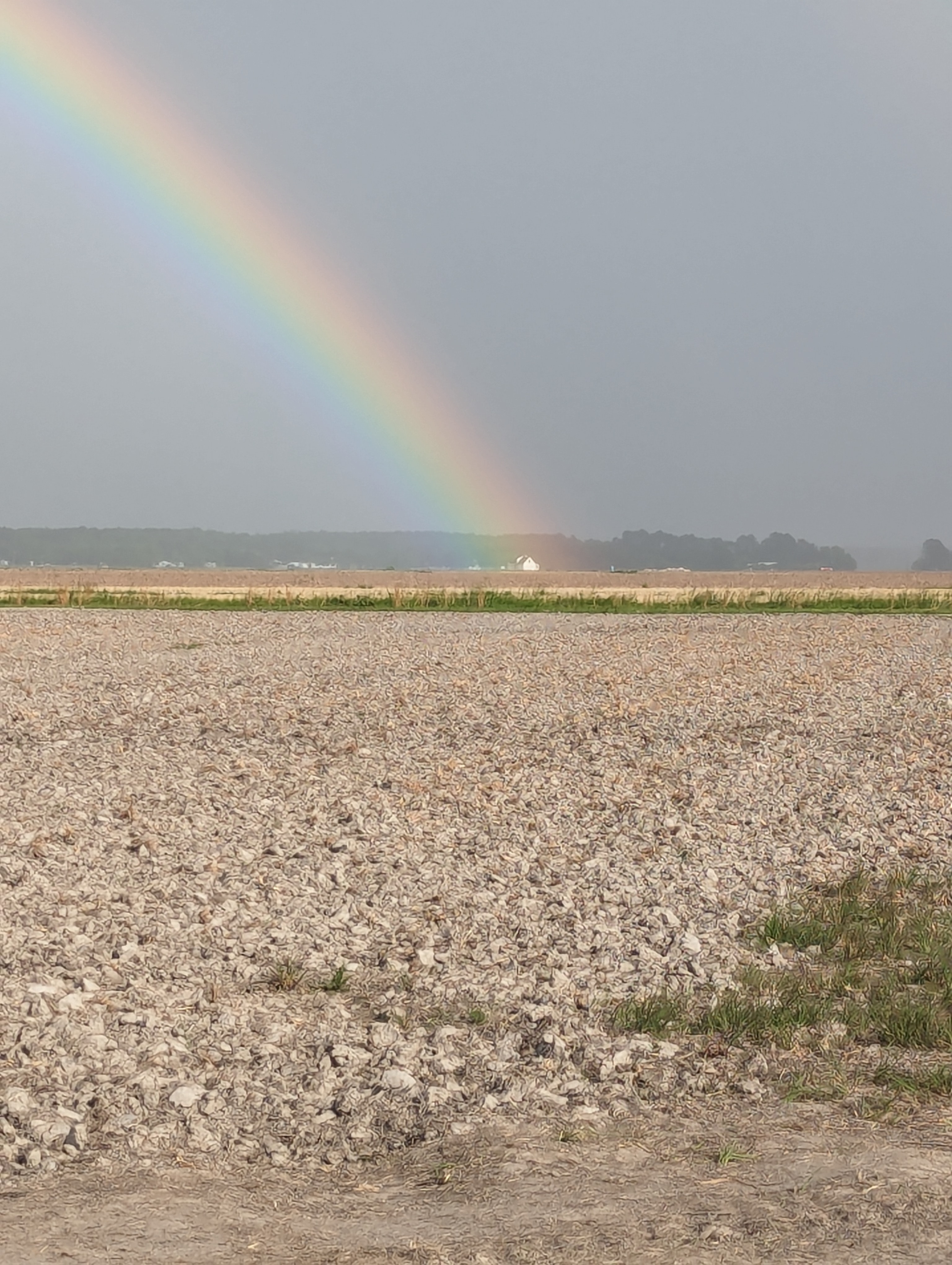 Rainbow over the fields